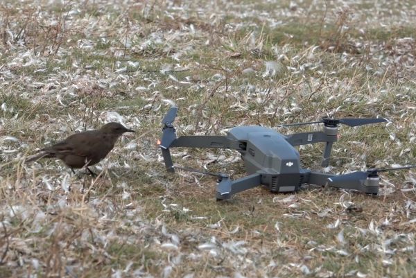 Mavic  tournage drone HQPilots